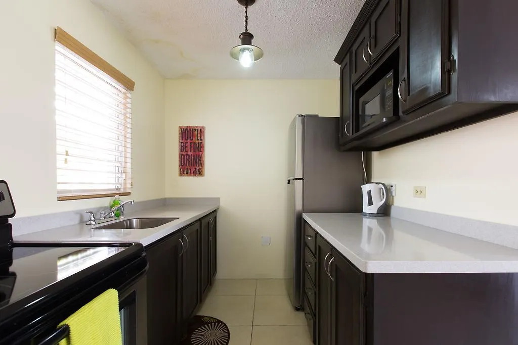 Chelsea Manor Apartment Kingston